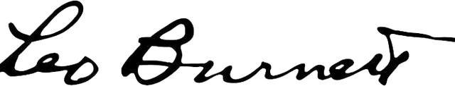 Leo Burnett logo